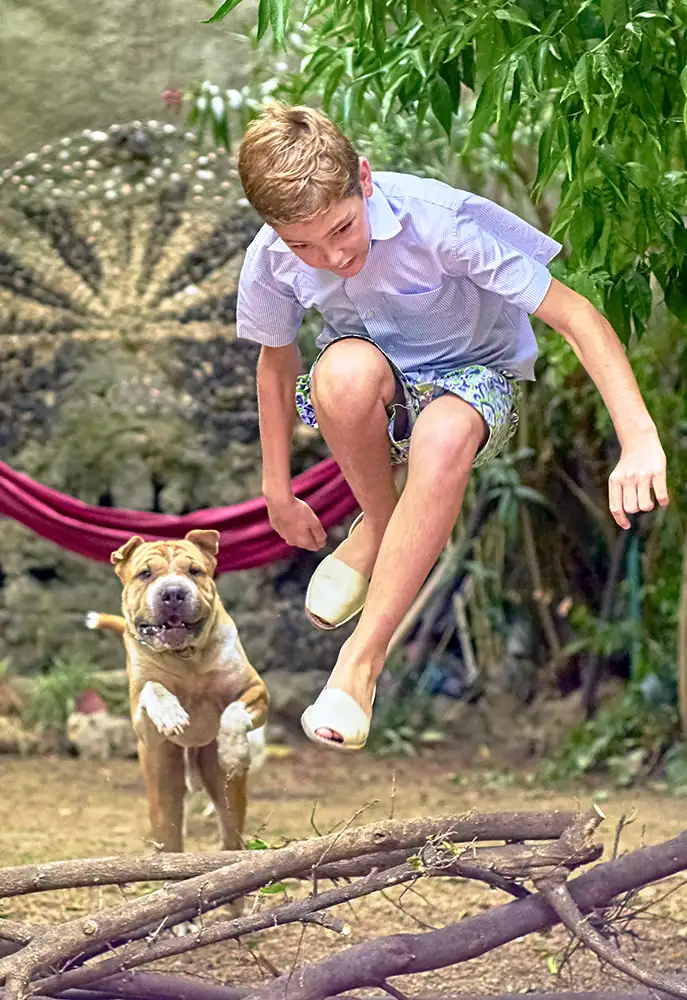 &Alpha;&lambda;&phi;&alpha;&beta;&eta;&tau;ά&rho;&iota; &Pi;&alpha;&pi;&alpha;&kappa;ώ&sigma;&tau;&alpha; N. - &Eta; &epsilon;&pi;ί&delta;&rho;&alpha;&sigma;&eta; &tau;&omega;&nu; &kappa;&alpha;&tau;&omicron;&iota;&kappa;&iota;&delta;ί&omega;&nu; &sigma;&tau;&omicron;&nu; &alpha;&upsilon;&tau;&iota;&sigma;&mu;ό&nbsp;